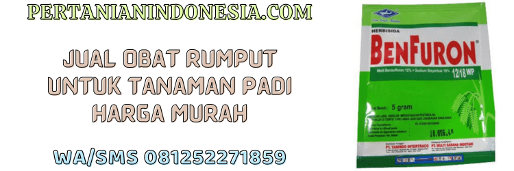 jual,murah,terjangkau,toko pertanian terdekat,pertanian indonesia